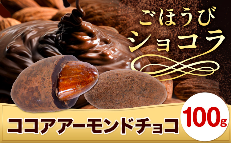 チョコ チョコレート ココア アーモンドチョコ 100g《30日以内に出荷予定(土日祝除く)》和歌山県 日高川町 送料無料 スイーツ デザート お菓子 おやつ チョコ アーモンド アーモンドチョコ ココア(f-2)
