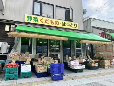 【先行予約】朝採り　とうもろこし　ゴールドラッシュ　約4.2kg（M～Lサイズ× 13本）（2025年8月下旬から順次発送予定）【 人気 北海道産 糖度 生 野菜 スイートコーン 産地直送 バーベキュ