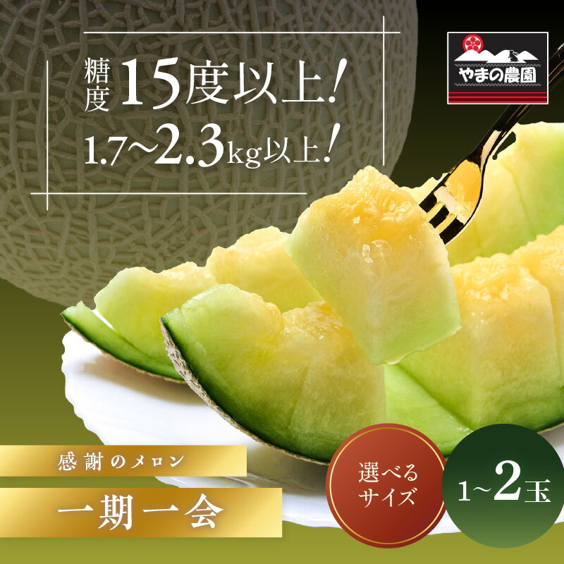 【ふるさと納税】やまの農園　感謝のメロン～一期一会「うしわか」・「べんけい」・「くらま」1玉 2玉≪先行予約≫【2026年7月中旬より順次発送予定】 フルーツ メロン マスクメロン 特大 送料無料 数量限定 予約 先行予約 ふるさと納税 メロン