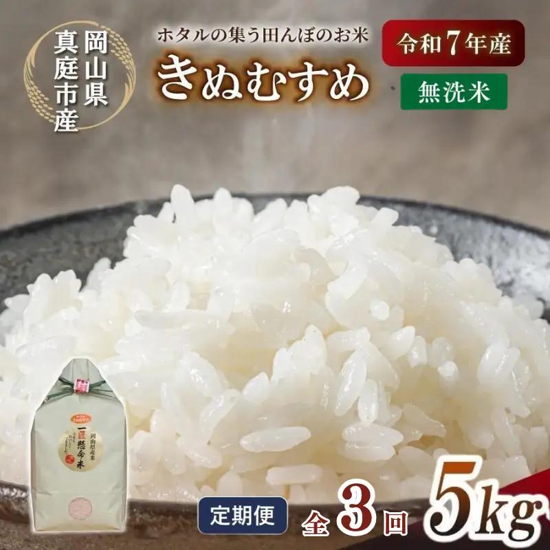 ＜定期便全３回＞ 米 岡山県産精米 令和8年産きぬむすめ無洗米5kg定期便 【tkns-tkb019】