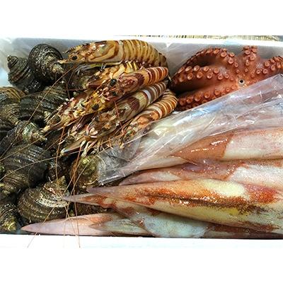ふるさと納税 八幡浜市 竹中水産の「豪華鮮魚ボックス約4キロ」!【H22-234】 |  | 02