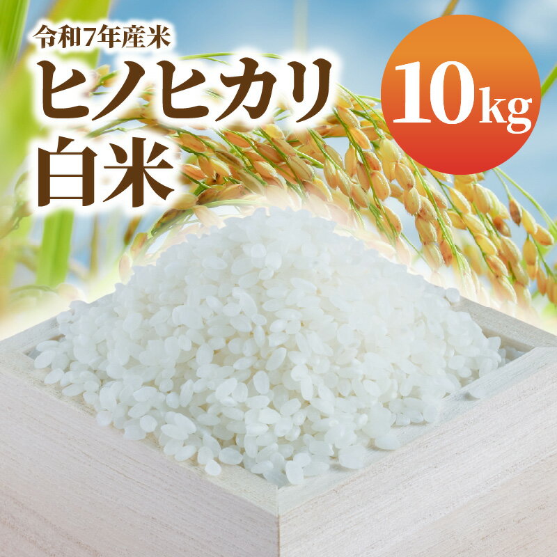 【ふるさと納税】令和7年産米 白米 ヒノヒカリ 10kg 米 ふっくら 美味しい 艶 香り 弾力 あっさり 甘み 食べごたえ 白ご飯 冷めても美味しい お米 おにぎり ご飯 和食 チャーハン 丼 弁当 精米 お取り寄せ 宮崎県 延岡市 送料無料