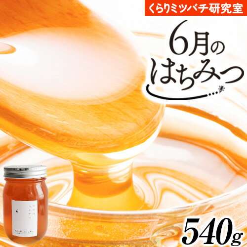 【ふるさと納税】6月のはちみつ 540g KURARI くらりミツバチ研究室《90日以内に出荷予定(土日祝除く)》和歌山県 紀の川市 蜂蜜 ハチミツ 非加熱 純正生はちみつ トースト ヨーグルト