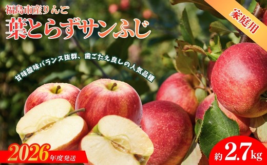 No.1926 ふくしまのりんご 葉取らずサンふじ ご家庭用　約2.7kg【2026年度発送】
