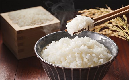 【定期便5回】山形産 特別栽培米 つや姫 5kg×5ヶ月(計25kg) FY24-470