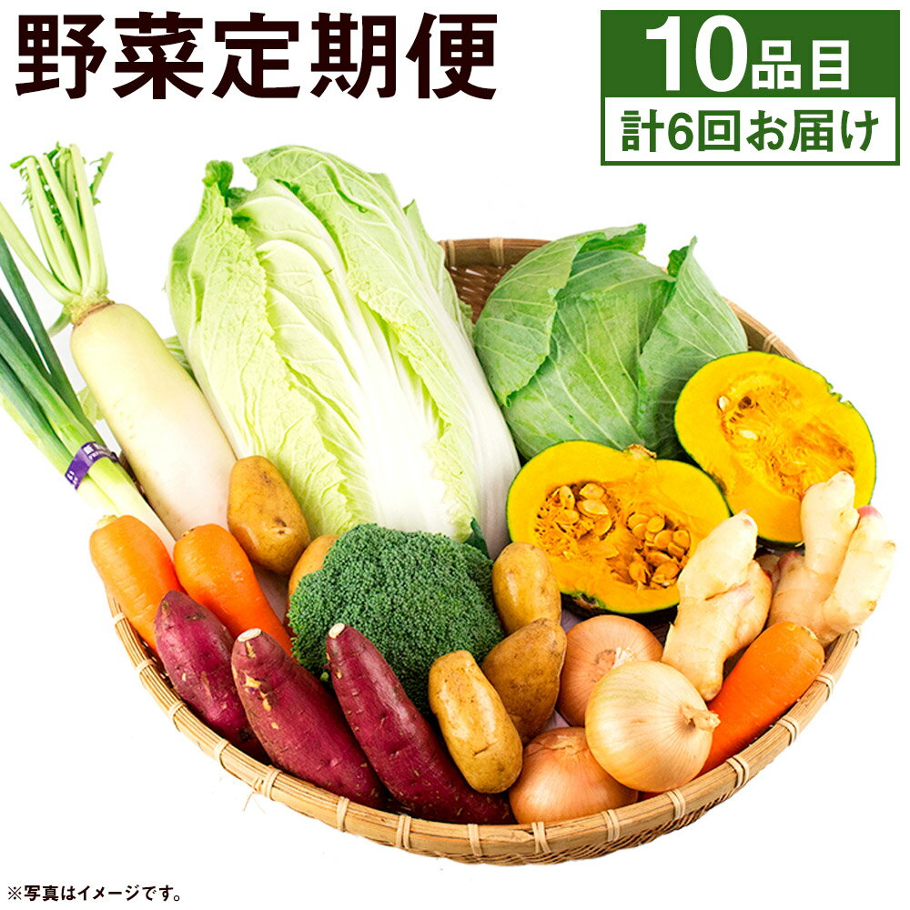 【ふるさと納税】旬の野菜定期便 計6回 旬の野菜 10品【養生市場】 定期便 品種おまかせ ランダム 6ヶ月お届け 計6回 詰め合わせ セット 野菜 九州産 熊本県産 送料無料 《お申し込みの翌月から出荷》