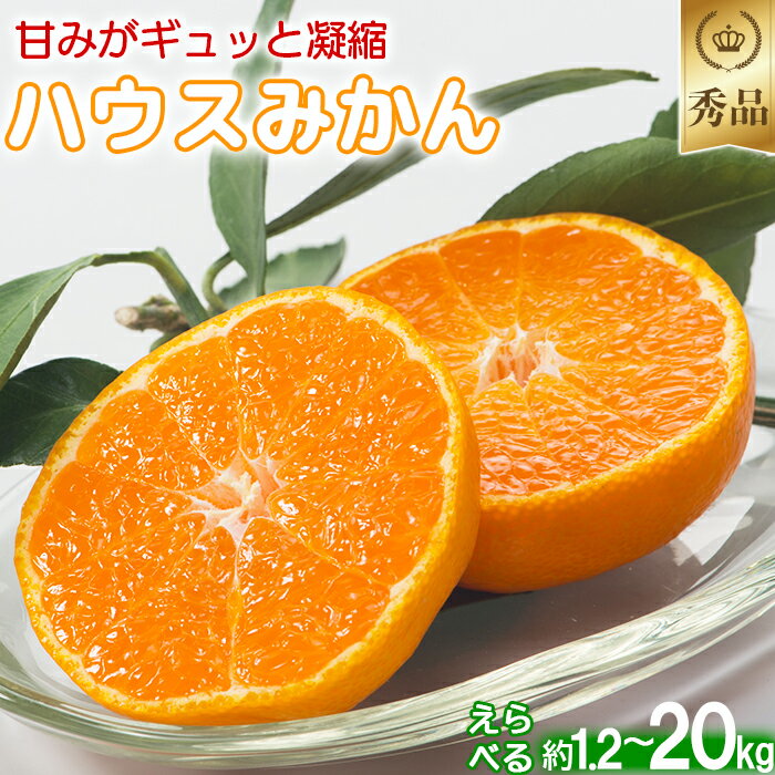 【ふるさと納税】今村農園のハウスみかん 約1.2〜20kg【秀品】 先行予約 果物 フルーツ ギフト 甘い ＜107-702_7＞