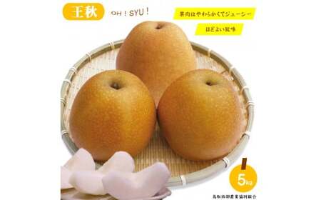 梨「王秋（おうしゅう）」5kg 鳥取県産