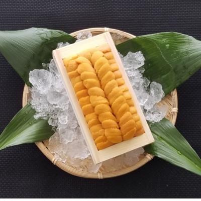 ふるさと納税 根室市 ムラサキウニ140g×1折 A-40001