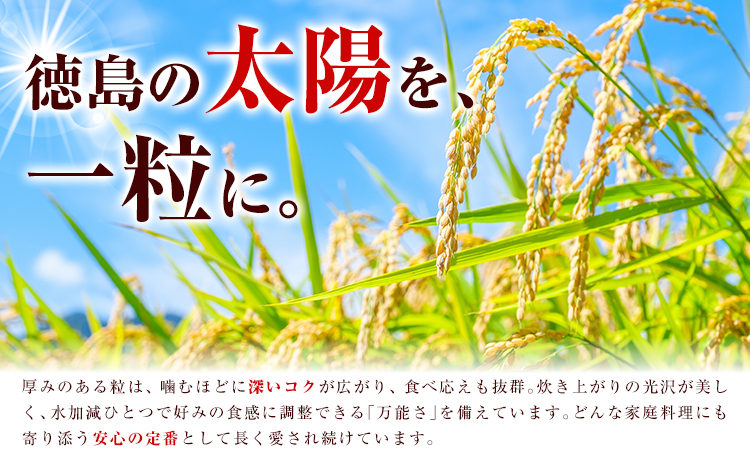 米 ヒノヒカリ 10kg JA徳島県脇町営農経済センター 《30日以内に出荷(土日祝除く)》ごはん こめ ご飯 徳島県 美馬市