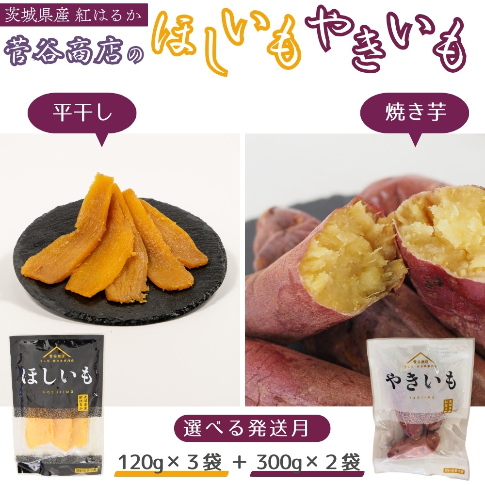 
            《選べる発送月》茨城「菅谷商店」の 紅はるか 干し芋 & 焼き芋 セット （ ほしいも 120g×3袋 / やきいも 300g × 2袋 ） 干しいも 平干し 天日干し　焼きいも
          