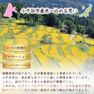 ふるさと納税 小千谷市 令和7年産 魚沼産コシヒカリ ブランド認証米「錦の実り」特AランクとAランク 食べ比べ10kg 精米 |  | 03