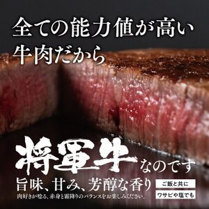 【将軍牛】特選ヒレステーキ 300g【配送不可地域：離島】【1653413】