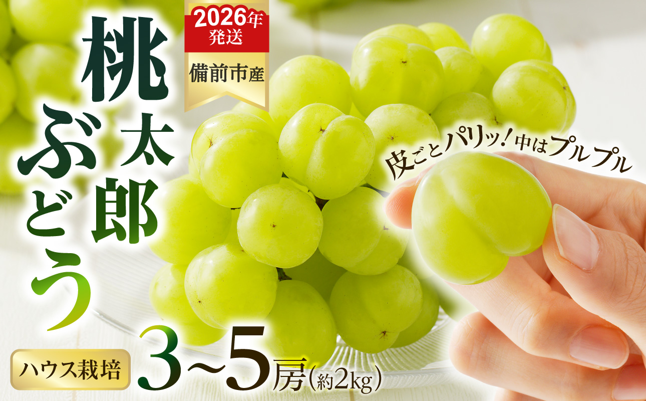 【2026年発送分　先行受付開始！】びぜん葡萄「桃太郎ぶどう」（ハウス栽培）約2㎏入（令和8年8月中旬～9月中旬頃発送）【 岡山県備前市産 桃太郎ぶどう 果物 フルーツ ハウス栽培 約2kg （3～5房目安）樹上完熟 】