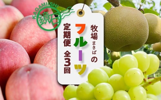 【2026年から発送開始】鏡石町 まきばのフルーツ定期便（桃 約5kg・和梨 約5kg・シャインマスカット2房）モモ もも ナシ なし ブドウ ぶどう 福島県 鏡石町 F6Q-413