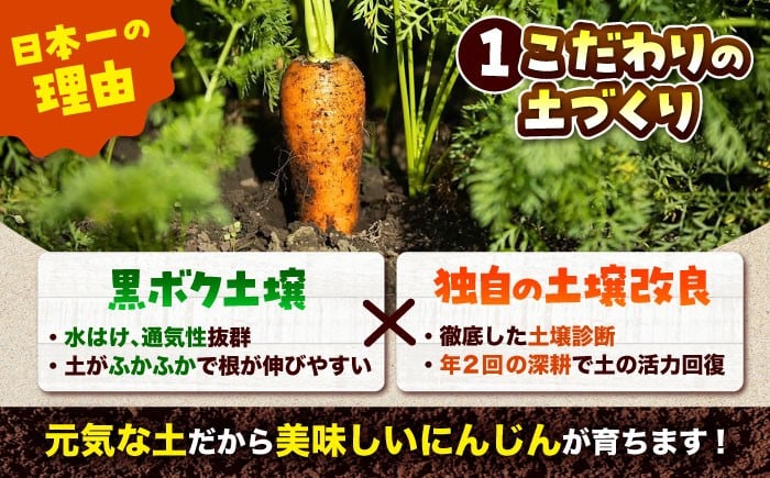 にんじん ニンジン 野菜 β-カロテン 食物繊維 抗酸化作用 栄養満点 熊本県産 菊陽町 