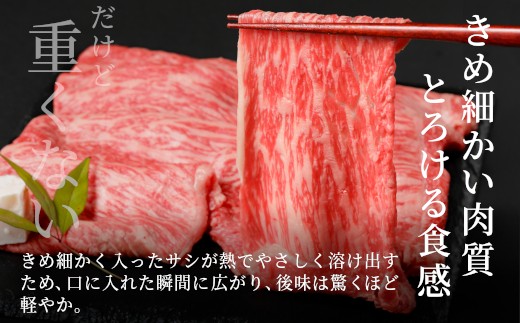 【2月発送】 飛騨牛 赤身＆霜降り2種セット (すきしゃぶ用) 計1kg 岐阜県産 黒毛和牛 すき焼き しゃぶしゃぶ 霜降り 赤身 牛肉 和牛 国産 お取り寄せ ごちそう 自宅用 大容量 もも カタ 