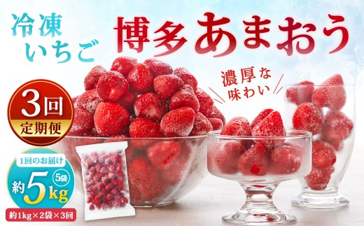 やまや冷凍いちご博多あまおう約5kg（1kg×5袋）