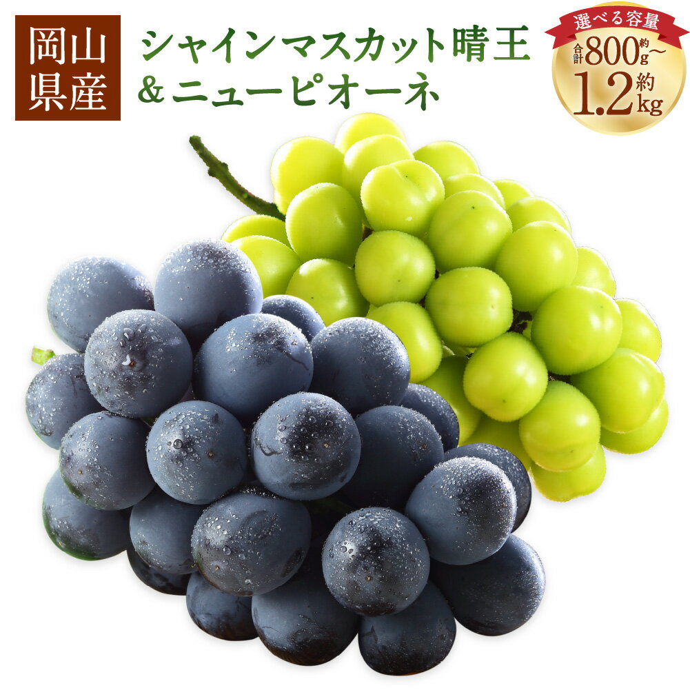 【ふるさと納税】岡山県産 シャインマスカット「晴王」とニューピオーネ Lサイズ～3Lサイズ ＜選べる内容量＞ 計約800g / 計約1kg / 計約1.2kg ぶどう ブドウ 葡萄 フルーツ くだもの 果物 詰め合わせ 冷蔵 国産 岡山県 美咲町 送料無料 【2026年8月下旬～9月下旬発送予定】