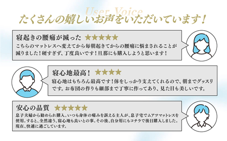 【マットレス＆まくらセット】昭和西川 ムアツ スタンダード レギュラー ダブル MP2100 | マットレス