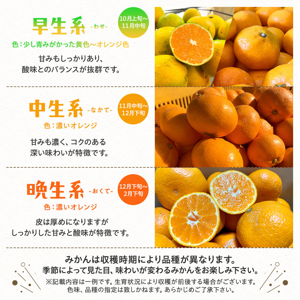 ご家庭用 完熟有田みかん 約5kg［2025年11月下旬～12月上旬予定］ 訳あり 農家直送［MS31-4］