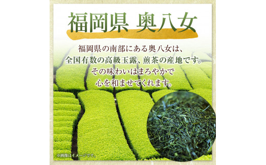 芳友園のかぶせ茶・煎茶詰合せB 各150g×1缶 合計300g 株式会社木屋芳友園《30日以内に出荷予定(土日祝除く)》 八女茶---sc_kykstb_30d_22_16500_320g---