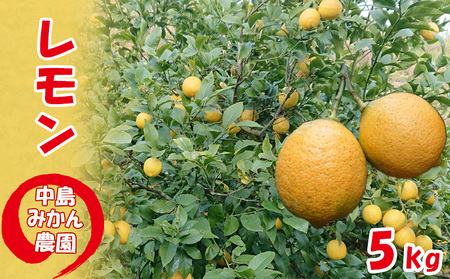 【2025年10月から発送】家庭用 レモン 約5kg 中島みかん農園 ｜レモン 柑橘 レモン 柑橘 レモン 訳あり レモン 無添加【NM0191】