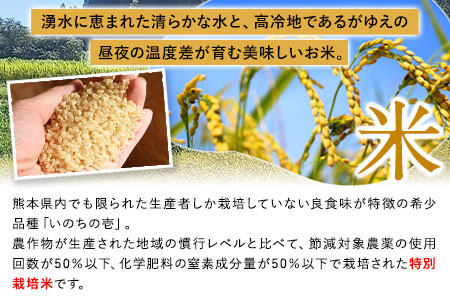 令和5年産 特別栽培米 いのちの壱(玄米)10kg×1 雑穀米付き《90日以内に出荷予定(土日祝除く)》 熊本県 南阿蘇村 熊本県産 虹色のかば 雑穀米