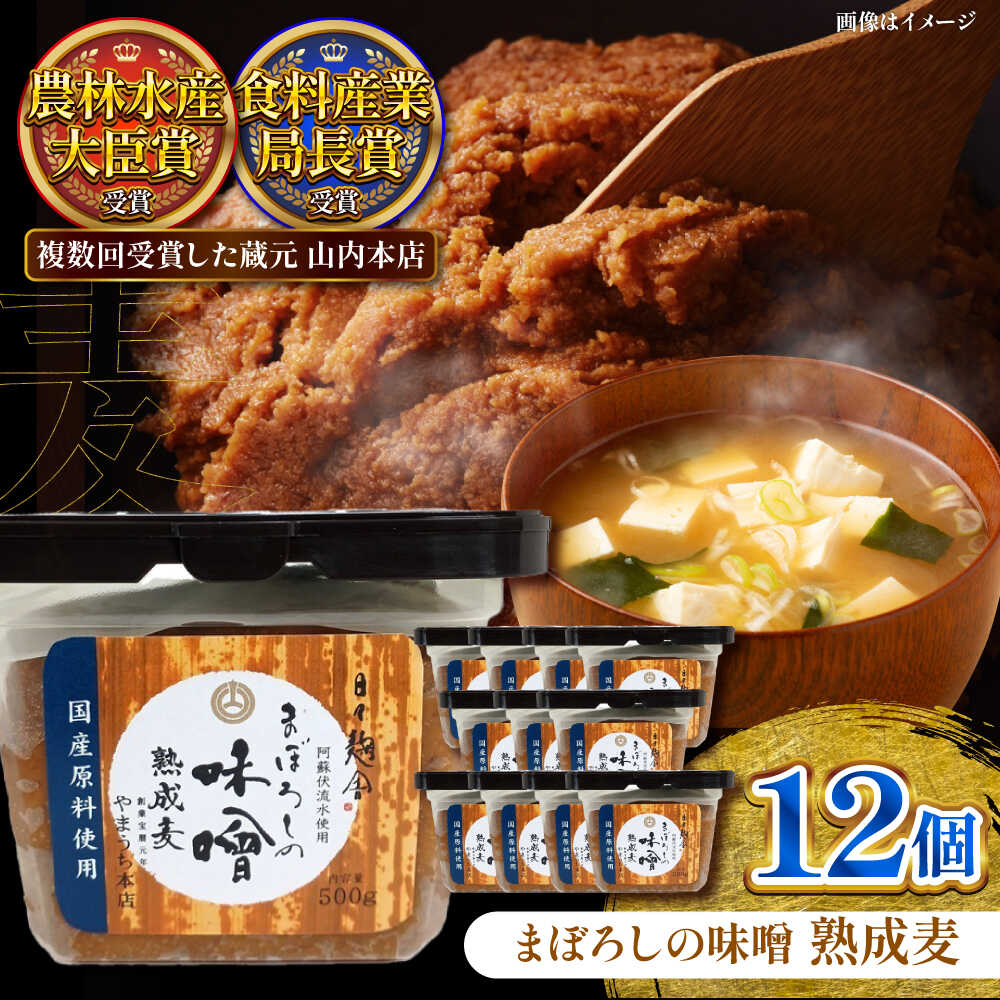 【ふるさと納税】まぼろしの味噌 熟成麦 500g×12個セット 味噌 みそ 菊陽町 発酵 食品 みそしる 国産 味噌汁 こめ むぎ みそ汁 大豆 熊本県 調理 料理 おかず 国産味噌 中甘口味噌 【株式会社山内本店】[BHAE021]