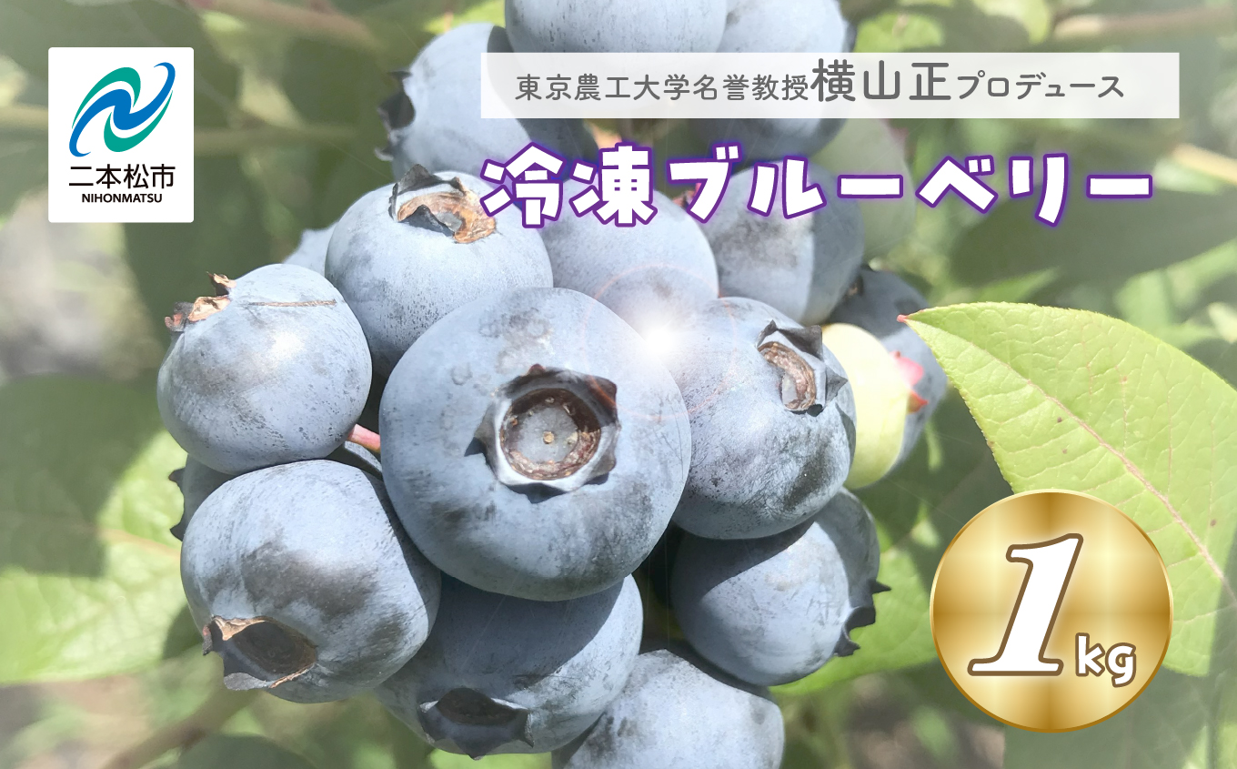 東京農工大学名誉教授「横山　正」ブランドのブルーベリー冷凍果実1kg（品種おまかせ）【東和ブルーベリー研究農園】