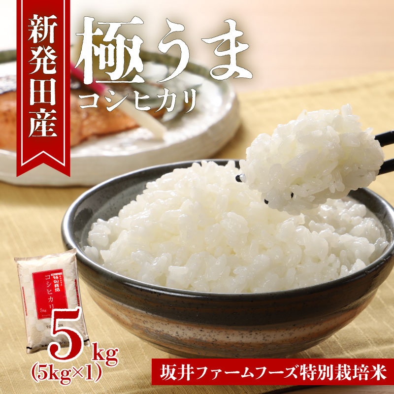 令和7年産 新潟県産 コシヒカリ 5kg 坂井ファーム 特別栽培米コシヒカリ 新潟 新発田 米 玄米 精米 白米 ご飯 おにぎり 弁当 こしひかり おこめ せいだ 新潟 新発田 D83_02