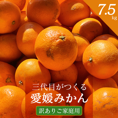 
三代目がつくる 愛媛 みかん 7.5kg＜ 訳あり ( 家庭用 )＞＜C31-17＞_ ミカン 蜜柑 柑橘類 柑橘 フルーツ 果物 くだもの 訳アリ わけあり ご家庭用 人気 美味しい 愛媛県 八幡浜市 ふるさと 【1120067】
