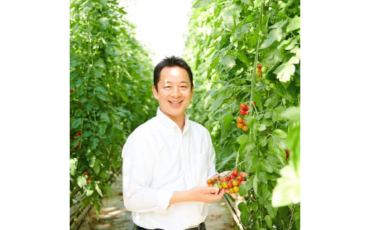 訳あり 完熟 大玉トマト 3.6キロ