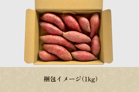 【家庭用】シルクスイート 1kg（A品・B品混在） 新潟県加茂市七谷産 さつまいも《11月下旬〜順次発送》 サツマイモ お芋 焼き芋 スイートポテト 野菜 根菜 低温熟成 加茂市 YAGOROU ヤゴ