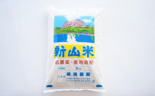 【令和7年産米】新山米（ななつぼし）5kg×2袋　10kg SBTC007
