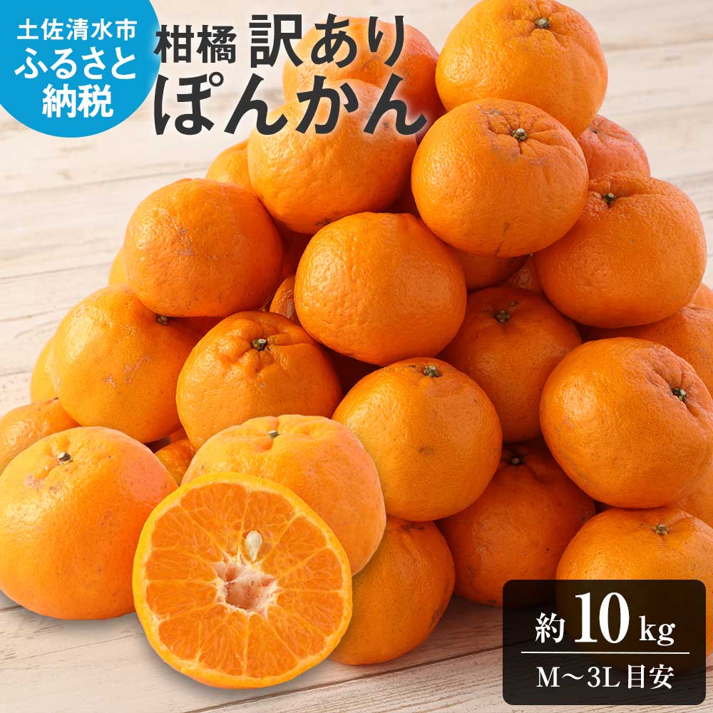 【ふるさと納税】【令和8年発送　訳あり】ぽんかん10kg（谷川果樹園）デコポンの親 みかん 蜜柑 ミカン 不知火 しらぬい 柑橘 かんきつ ポンカン フルーツ オレンジ 果物 くだもの 果汁 甘い ジューシー 故郷納税 高知県 土佐清水市 送料無料 高知【R01142】