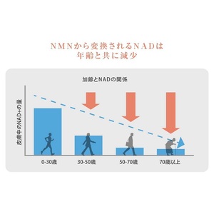 0030-105-01 DAINA NMN+ 1本