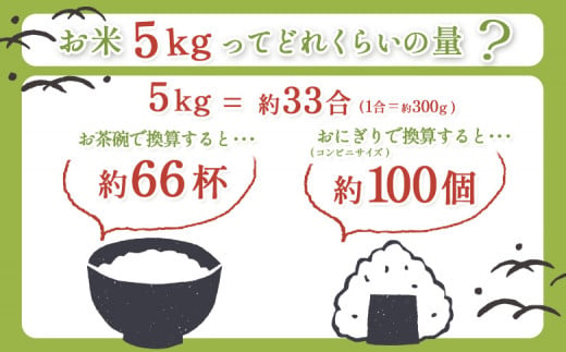 合鴨農法ゆめぴりか 【胚芽米仕様精米】【有機肥料/無農薬・無化学肥料･備蓄用】令和６年度米 正味5kg(1kg×5袋) 水田環境