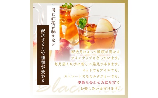 【全6回定期便】京都の紅茶専門店より世界のおススメ紅茶５種セット