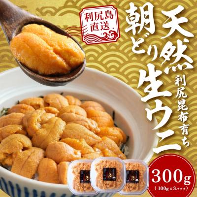 ふるさと納税 利尻町 【2026年発送受付】利尻島産「朝どり」塩水生うに300g (100g×3) 天然キタムラサキウニ