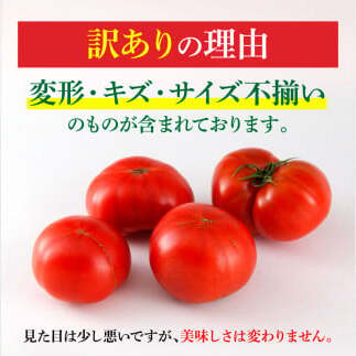 訳あり フルーツトマト 1kg 大小混合 1キロ トマト とまと ふるーつとまと 桃太郎 完熟 糖度8度以上 濃厚 野菜 料理 サラダ マリネ おいしい 新鮮 食品 訳アリ 家庭用 ご自宅用_イメージ
