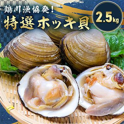 ふるさと納税 むかわ町 鵡川漁協発!特選ホッキ貝(2.5kg)