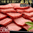 【ふるさと納税】 飛騨牛 モモ(500g)焼き肉用 冷蔵 A4 A5 霜降り 黒毛和牛 和牛 牛肉 肉 焼肉用 日付指定 時間指定 461 送料無料