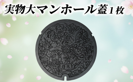 奈良市デザインマンホール蓋【実物】