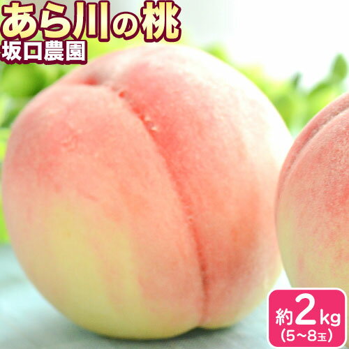 【ふるさと納税】あら川の桃 秀品 約2kg(5~8玉) 坂口農園《2025年6月下旬-8月下旬頃より出荷予定》 和歌山県 紀の川市 桃 もも モモ 白鳳 日川白鳳 紀の里白鳳 清水白桃 川中島白桃 なつっこ 月あかり 黄金桃 あら川の桃 送料無料