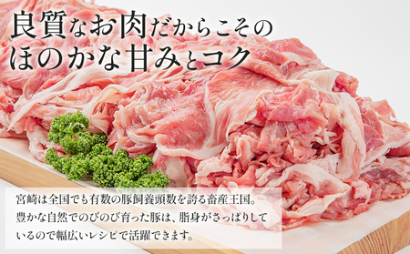 宮崎県産豚肉切り落とし 250g×12 合計3kg【豚肉 お肉 豚肉 肉 豚肉 宮崎県 豚肉 宮崎市 豚肉 宮崎県産 豚肉 宮崎産 豚肉 ポーク 豚肉 切り落とし 豚肉 小分け 豚肉 県産 豚肉 宮崎