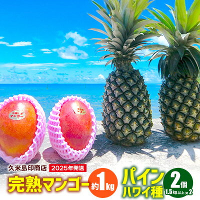 【ふるさと納税】【2025年発送】久米島印商店 完熟マンゴー約1kg&Nパイン2個（1.5kg以上×2） マンゴー パイナップル セット 甘い 酸味 バランス 人気 贈り物 ギフト フルーツ 果物 デザート スムージー ジュース アイス ヨーグルト ジャム 南国 沖縄 久米島