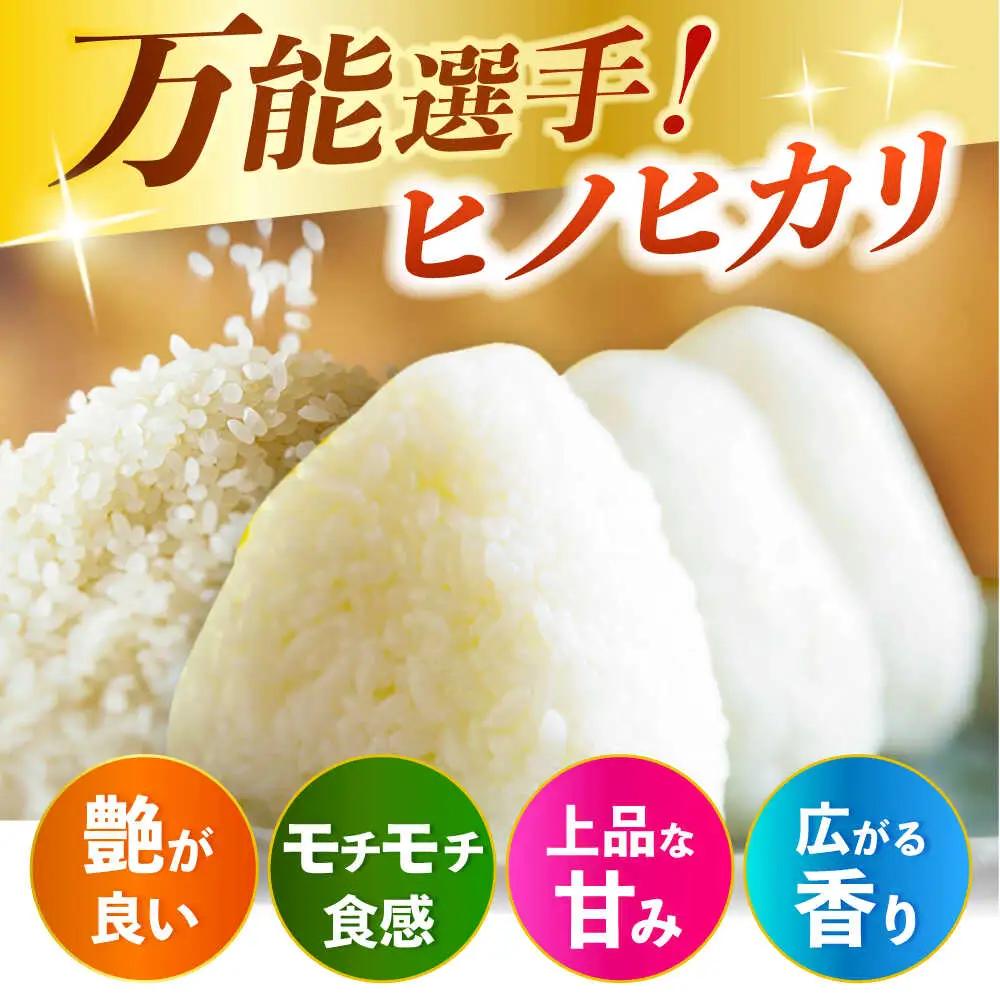 【先行予約】大分県産ヒノヒカリ  10kg 日田市 こめ コメ 米[ARDX023] ひのひかり