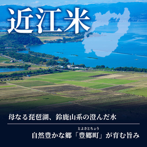 コシヒカリ お米 5kg 精米 単品 コシヒカリ