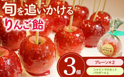 りんご飴専門店まじかる りんご飴Dセット【プレーン×2,シャインマスカットパウダー×1】│リンゴ 林檎 お祭り スイーツ りんごあめ リンゴアメ